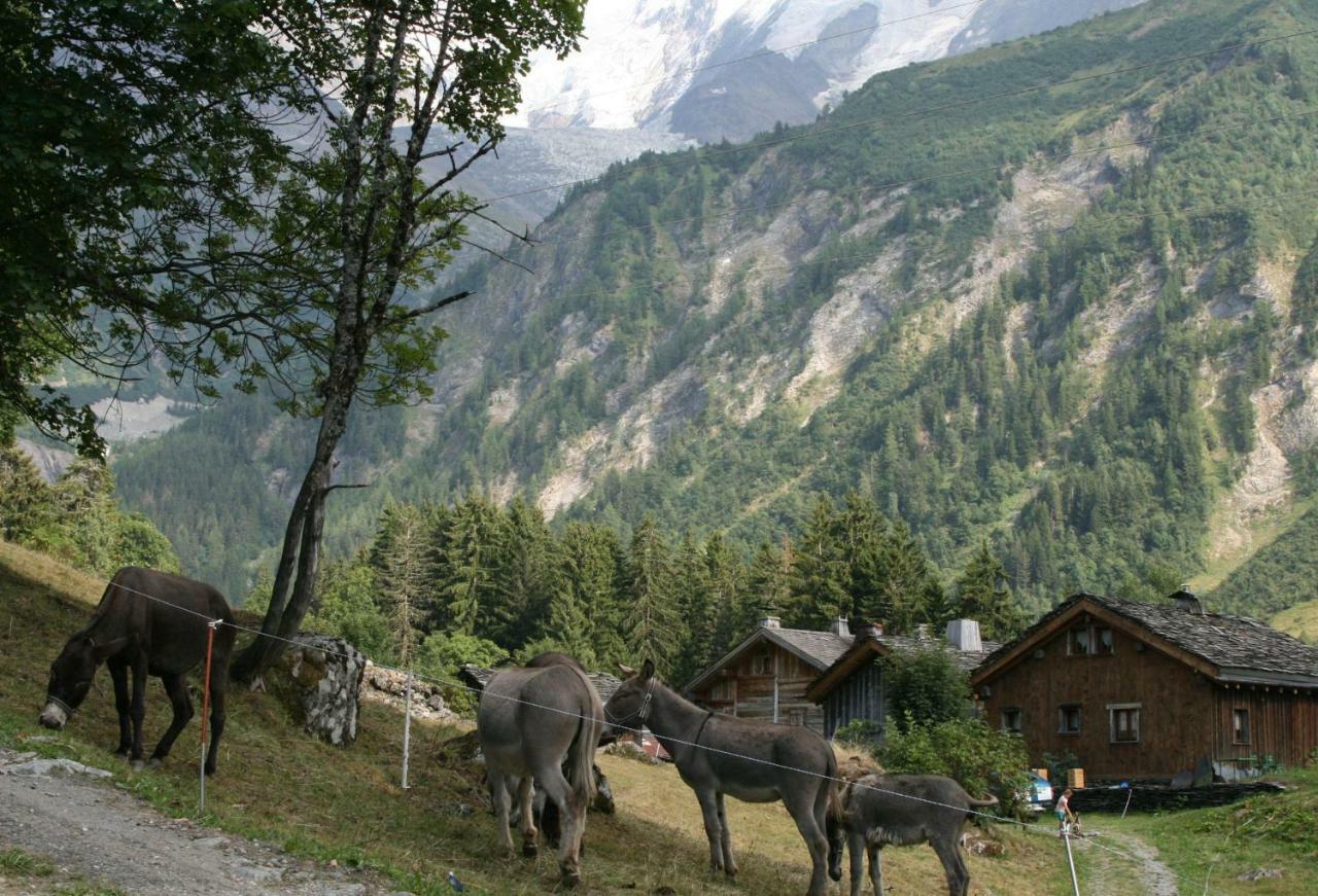 Les Jardins Alpins - Apartment Saint-Gervais-les-Bains Eksteriør billede