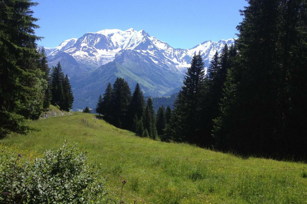 Les Jardins Alpins - Apartment Saint-Gervais-les-Bains Eksteriør billede